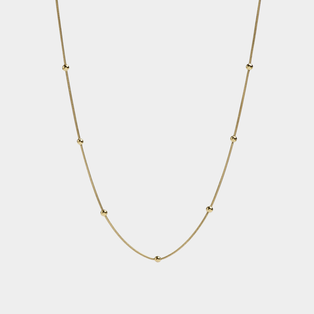 PERSONALIZA TU COLLAR
