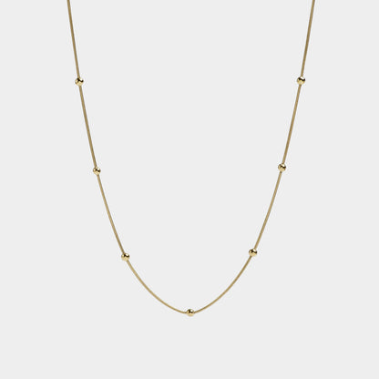 PERSONALIZA TU COLLAR